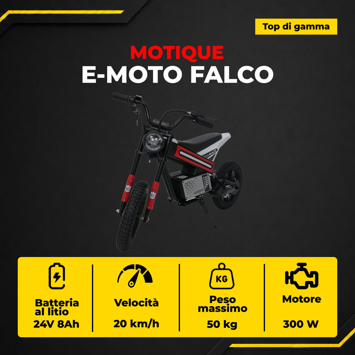 [IT] E-Moto Falco - infografica 2