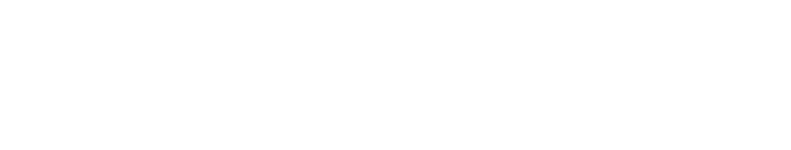 TOYS GROUP SRL
